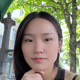 Jingyi Huang
