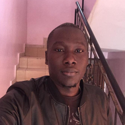 Moussa Sissoko
