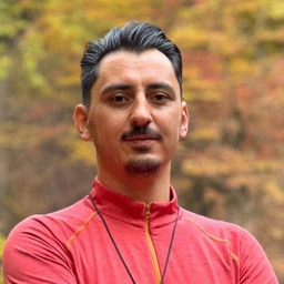 Essi Mostafavi