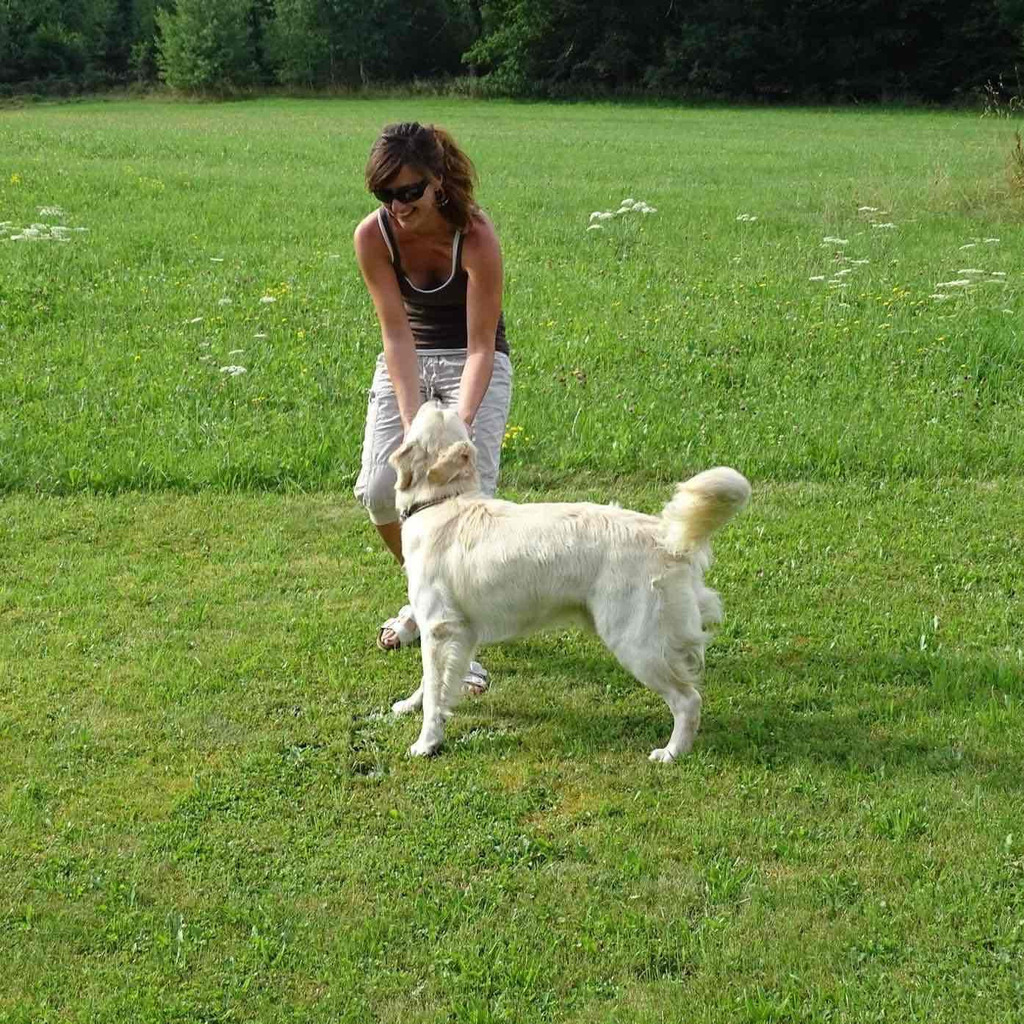 Barbara Hildebrand Head of Translation & Terminology Management