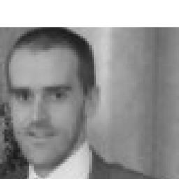 Peter Davies