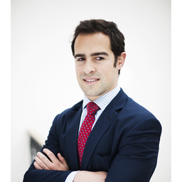 Luis Miguel Guerreiro Gomez