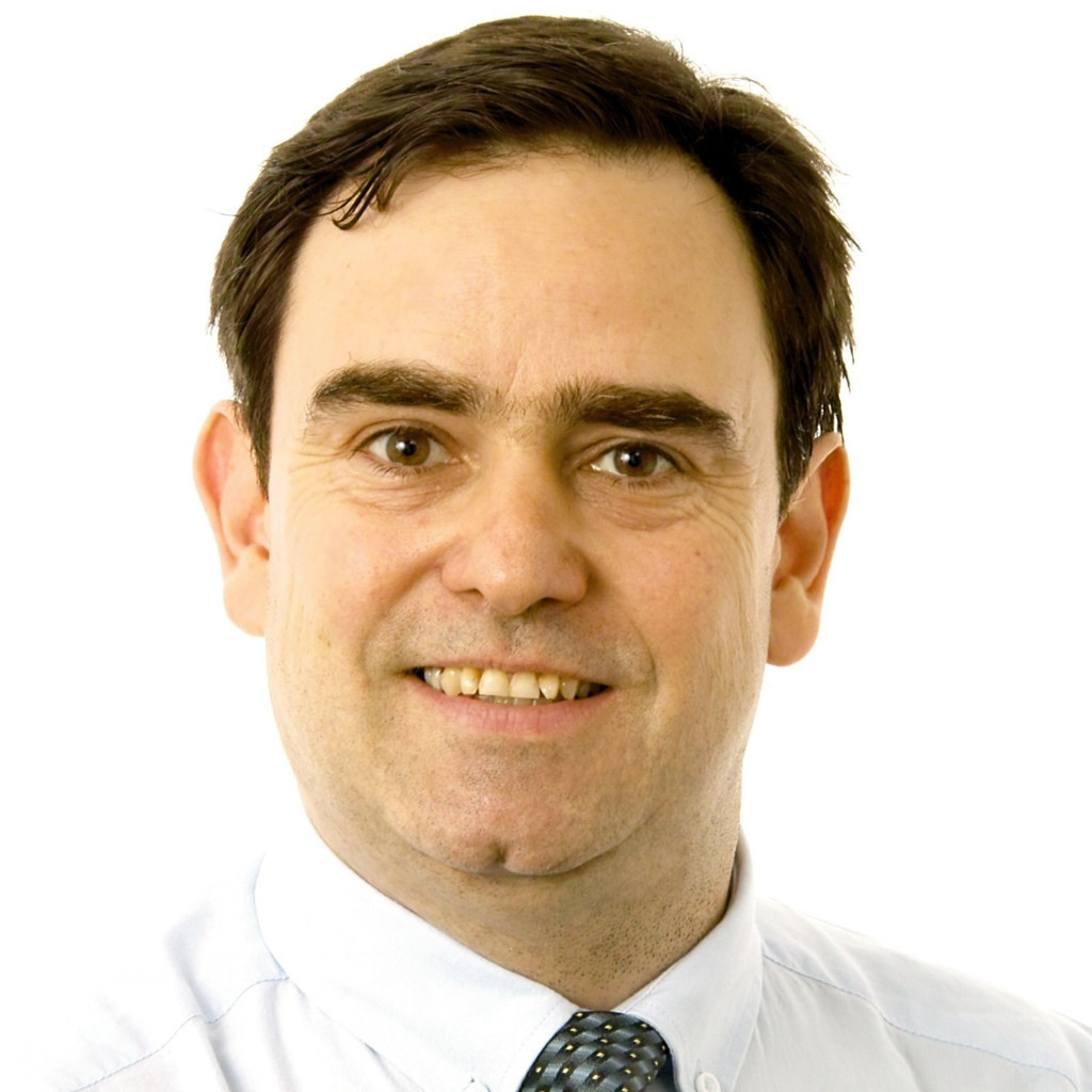 Fernando Perez Financial Controller Bulbos de los Andes S.A. XING