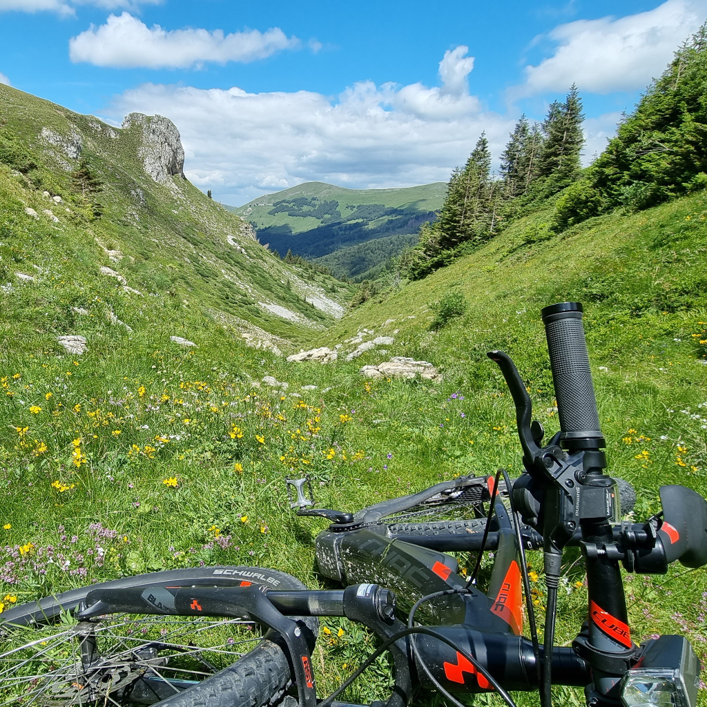 Zoran Bozovic Personenschützer B.Zo XING