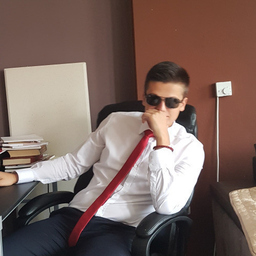 Luka Trajkovic