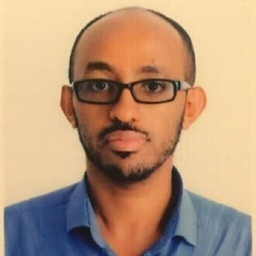 Yisfalem Alemayehu's profile picture