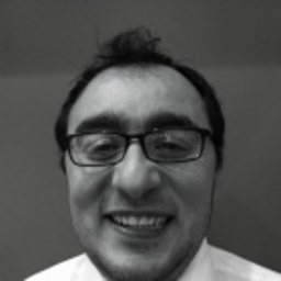 Massimiliano Licciardi