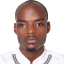 Abayomi Ogunleye