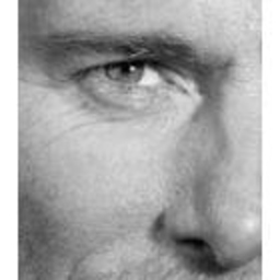 Stefan Baier