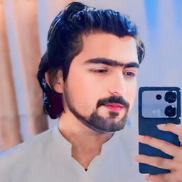 Syed Ameer Hakim Gillani