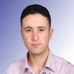 Salim Toy