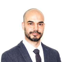 Mohammadtaghi  Torkani 