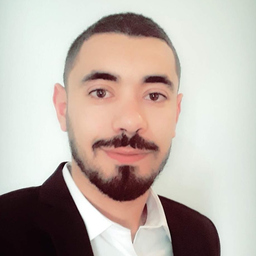 Ahmed Hamzaoui's profile picture