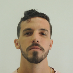 Leonardo Nicolas Delfino Lopes