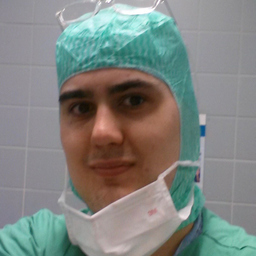 Danijel Ilic