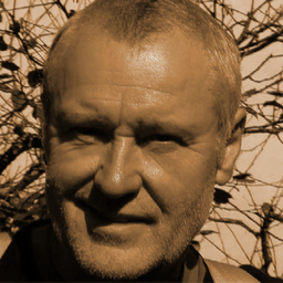 Gil Webster