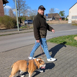 Daniel Oeben