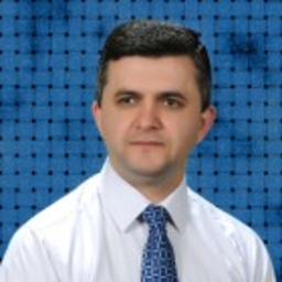 Timur Moğul