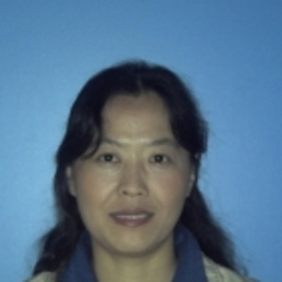 Hong Wang