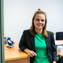 Elisa Steins