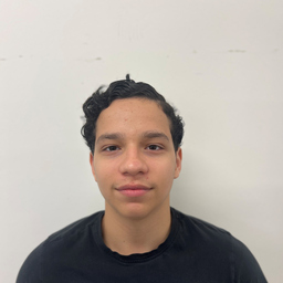 Alfonso  Giorno Rincon Michelangelo