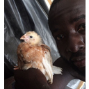 Louis Asiedu
