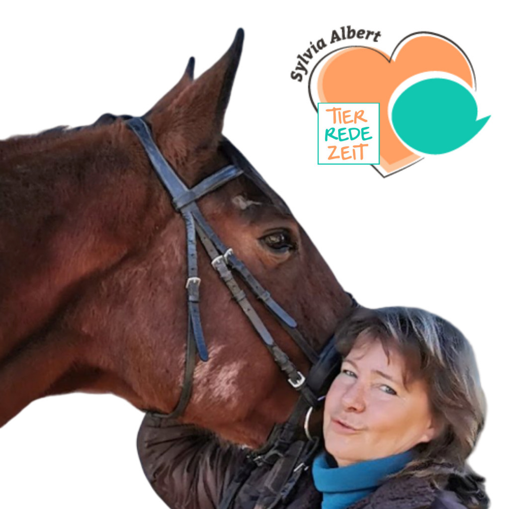 Sylvia Albert Coaching für angstfreies Ausreiten * Systemische