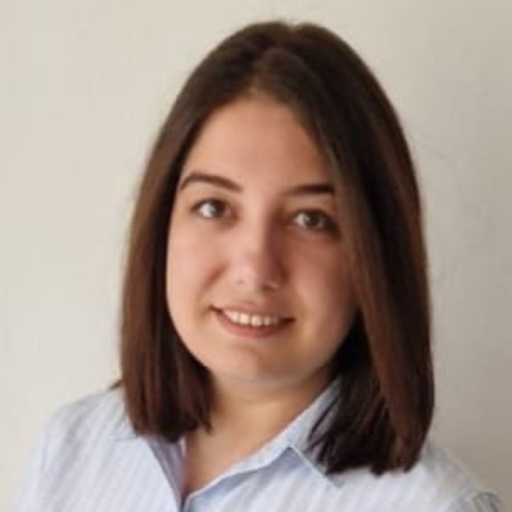 Sara seval software test engineer istqb certified istqb xing