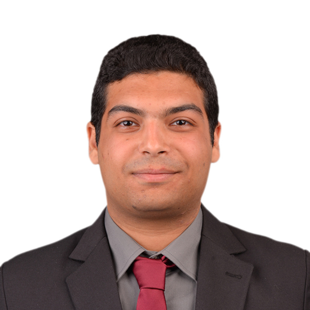 Arsany a lowise mechatronics systems engineering mansoura