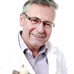 Anton Hermann