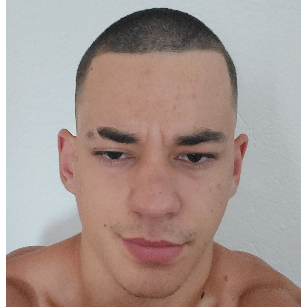 Andrej Stevkovski Electrician Vanhool XING