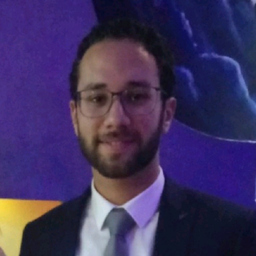 Muhammad Abdelfatah