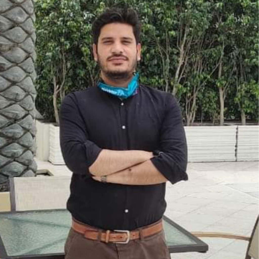 Zulfiqar Ali Senior SQL Developer SeeThruTech XING