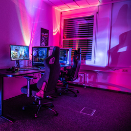 MD. Muhaiminul Islam Mithun