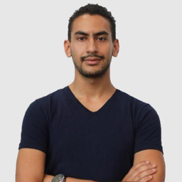 Hosni Mansour