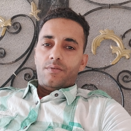 حامد السيد السبع