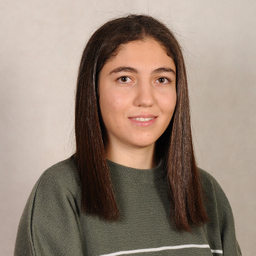 Parisa Ghasemi Dehnavi