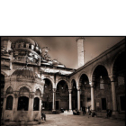 Gonul Yadigar
