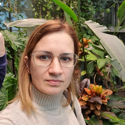 Snezana Lalatovic
