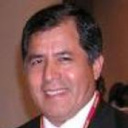 Francisco Manrique Guerra