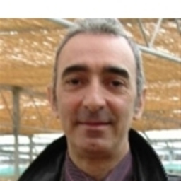Didier Riehl
