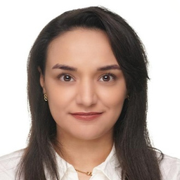 Sepideh Karami