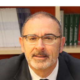 Andres Mínguez  Vela
