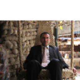 Ali Yılmaz