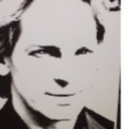 Dipl.-Ing. Dieter Greis