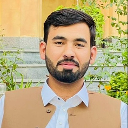 Mujahid Niazi