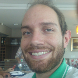 Gustavo Henrique Dian
