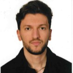 Sertan Ali's profile picture