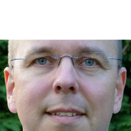 Dirk Borkowski's profile picture