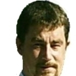 Mike Seifert